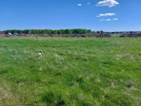 Участок в Челябинская область, Аргаяшский муниципальный округ, ...