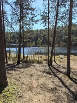 Участок в Ленинградская область, Приозерский район, Красноозерное ...