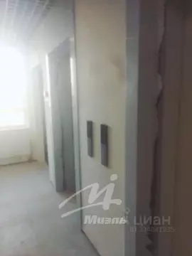 Студия Москва Куркинское ш., 15 (29.4 м)