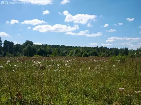 Участок в деревня Бор, 45А (25 м)