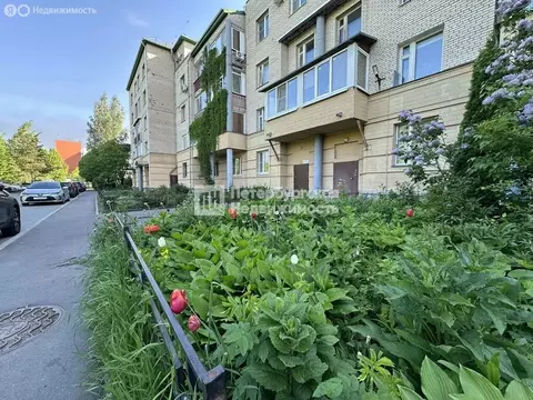 1-комнатная квартира: Пушкин, Петербургское шоссе, 8к1 (36.2 м)