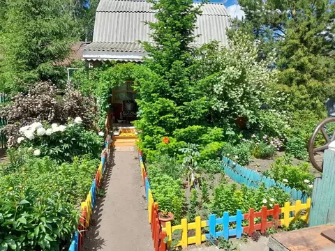 Дом в Омская область, Омск СОСН Урожай тер.,  (52 м)