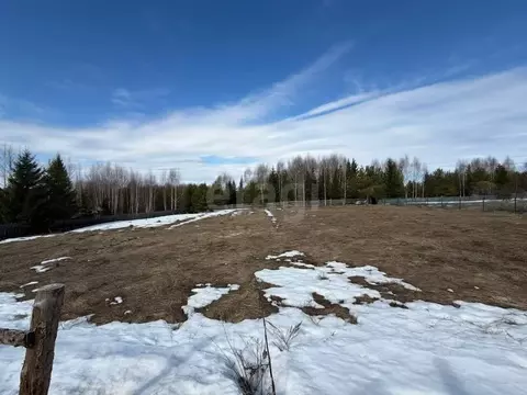 Участок в Пермский край, Соликамский муниципальный округ, пос. Затон  ...