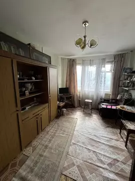 1-к кв. Челябинская область, Челябинск Шенкурская ул., 11 (34.0 м)