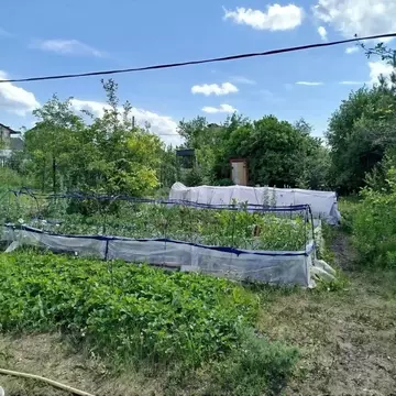Дом в Самарская область, Красный Яр с/пос, СДТ СОК 0-я линия, 11 (46 ...