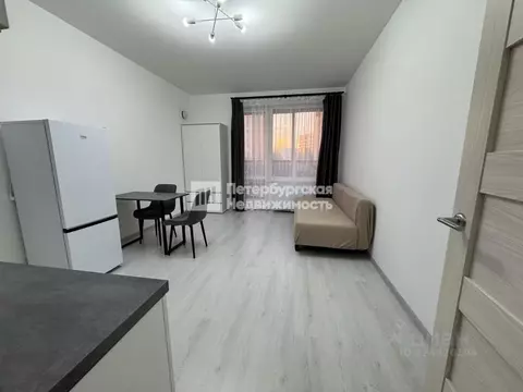 Студия Санкт-Петербург ул. Верхне-Каменская, 11к1 (25.1 м)