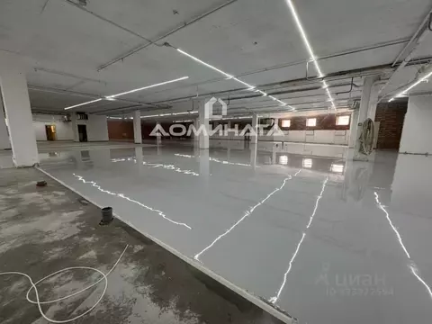 Помещение свободного назначения в Санкт-Петербург просп. Испытателей, ...