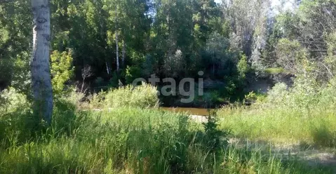 Участок в Алтайский край, Первомайский район, с. Санниково ул. ...