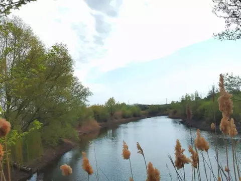 Дом в Волгоградская область, Городищенский район, Краснопахаревское ...