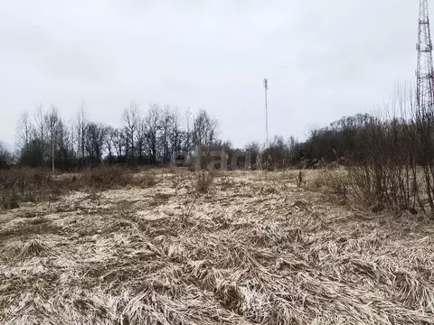 Участок в Московская область, Талдомский городской округ, д. Кунилово  ...