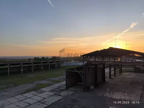 Производственное помещение в Ярославская область, Угличский ...