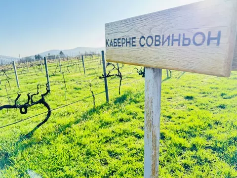 Участок в Севастополь с. Верхнесадовое, ул. Севастопольская, 64 (500.0 ...