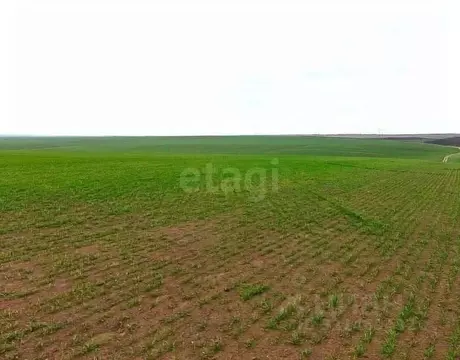 Участок в Оренбургская область, Шарлыкский район, Ратчинский ...