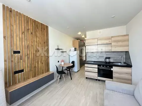 1-к кв. Новосибирская область, Новосибирск ул. Кирова, 113/2 (20.2 м)