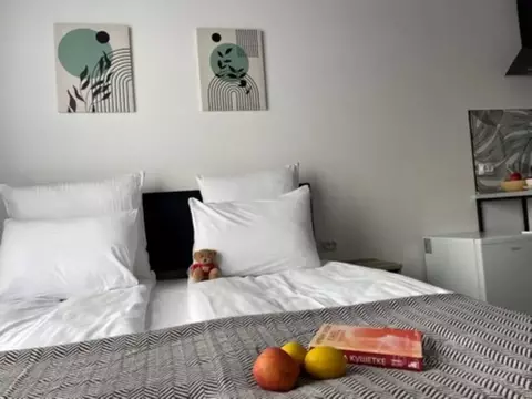 1-к кв. Карелия, Петрозаводск ул. Антикайнена, 38 (26.0 м)