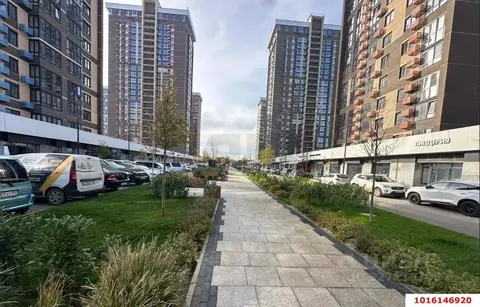 1-к кв. Краснодарский край, Краснодар пос. Знаменский, ул. Природная ...