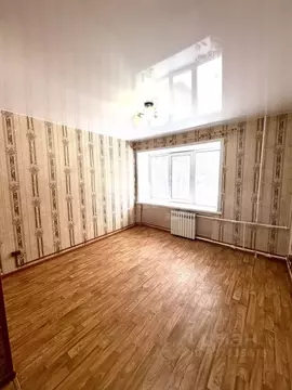 Студия Владимирская область, Ковров Сосновая ул., 15/2 (18.4 м)