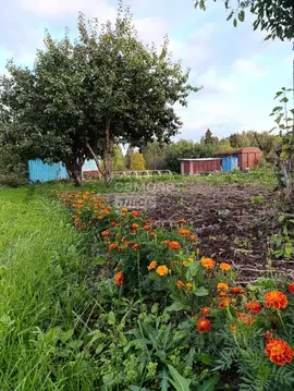 Участок в Марий Эл, Медведевский район, Руэмское с/пос, Вишенка СНТ ...