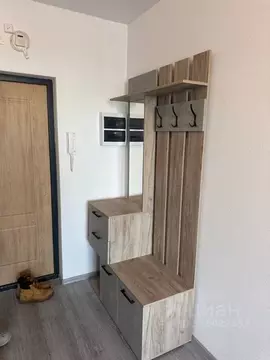 Студия Московская область, Ленинский городской округ, Молоково пгт ...