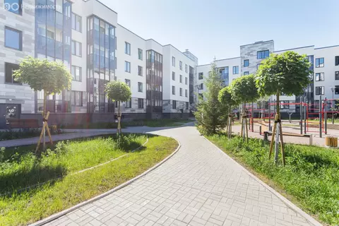 Квартира-студия: Санкт-Петербург, проспект Будённого, 15 (24.5 м)