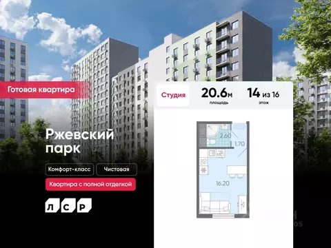 Студия Ленинградская область, Всеволожское городское поселение, пос. ...