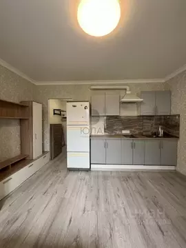 Студия Санкт-Петербург просп. Королева, 62 (24.1 м)