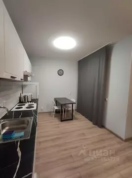 Студия Санкт-Петербург Земледельческая ул., 3 (28.0 м)