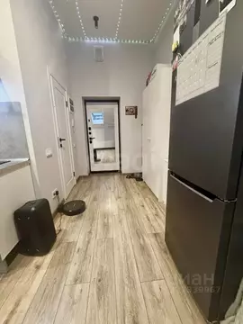 Студия Санкт-Петербург Челябинская ул., 37 (26.8 м)