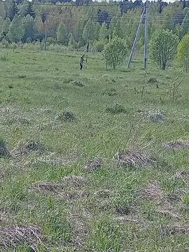 Участок в Тверская область, Калининский муниципальный округ, с. ...