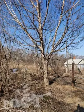 Участок в Приморский край, Артем Хуторская ул. (8.8 сот.)