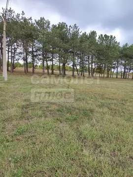 Участок в Крым, Симферопольский район, с. Донское ул. Солнечная (10.0 ...