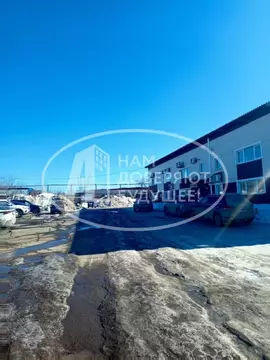 Помещение свободного назначения в Пермский край, Пермь ул. Василия ...