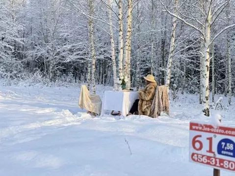Участок в Ленинградская область, Всеволожский район, Куйвозовское ...