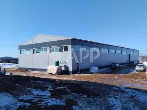 Производственное помещение в Татарстан, Пестречинский район, ...