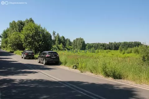 Участок в Нижегородская область, муниципальный округ Бор, деревня ...