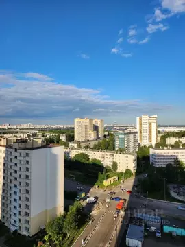 1-к кв. Санкт-Петербург пос. Шушары, ул. Окуловская, 8 (45.8 м)