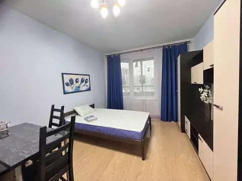 Студия Ленинградская область, Мурино Всеволожский район, бул. ...