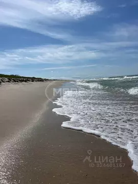 Участок в Калининградская область, Зеленоградский муниципальный округ, ...