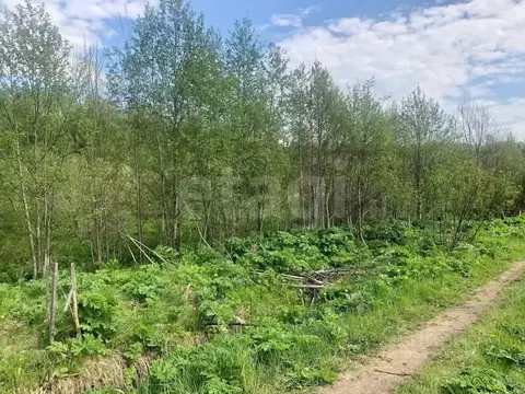 Участок в Московская область, Дмитровский муниципальный округ, ...