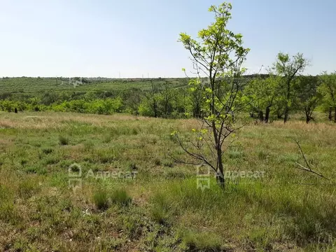 Участок в Волгоградская область, Городищенский район, Царицынское ...