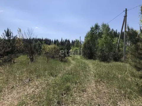 Участок в Тамбовская область, Тамбовский муниципальный округ, Луговое ...