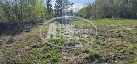 Участок в Пермский край, Добрянка Прикамская ул., 8Б (14.0 сот.)