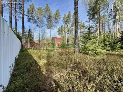 Участок в Всеволожский район, Агалатовское сельское поселение, деревня ...