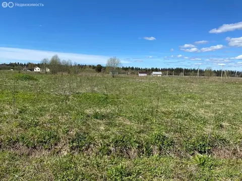 Участок в Клопицкое сельское поселение, деревня Сельцо, садовое ...