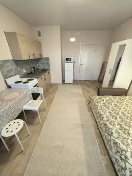 Студия Новосибирская область, Новосибирск ул. Петухова, 162 (28.0 м)