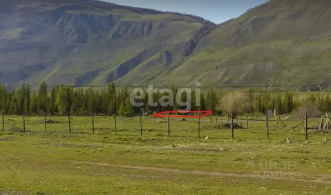 Участок в Алтай, Улаганский район, с. Акташ  (12.8 сот.)
