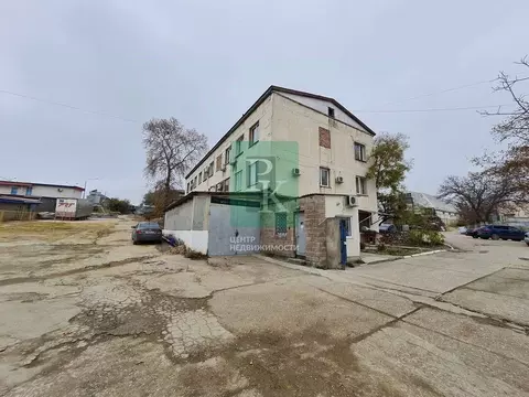Помещение свободного назначения в Севастополь ул. Шабалина, 27 (500 м)