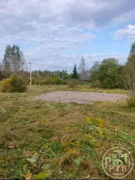 Участок в Ленинградская область, Лужский район, Заклинское с/пос, д. ...