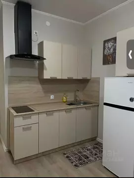 Студия Санкт-Петербург пос. Шушары, ул. Нины Петровой, 6к5 (22.6 м)