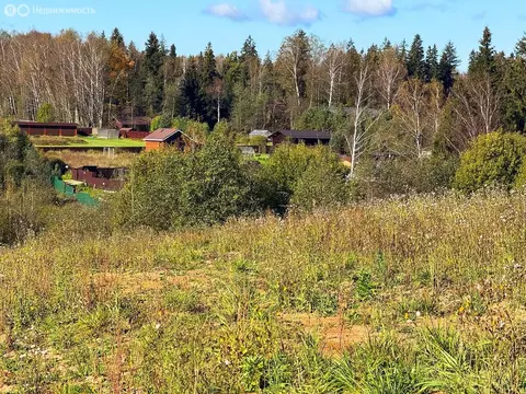 Участок в Московская область, Дмитровский муниципальный округ, КП ...